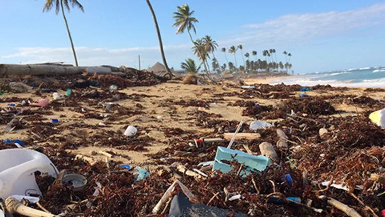 copyright-cnrs_-_centre_national_de_la_recherche_scientifique-banner-mobile3